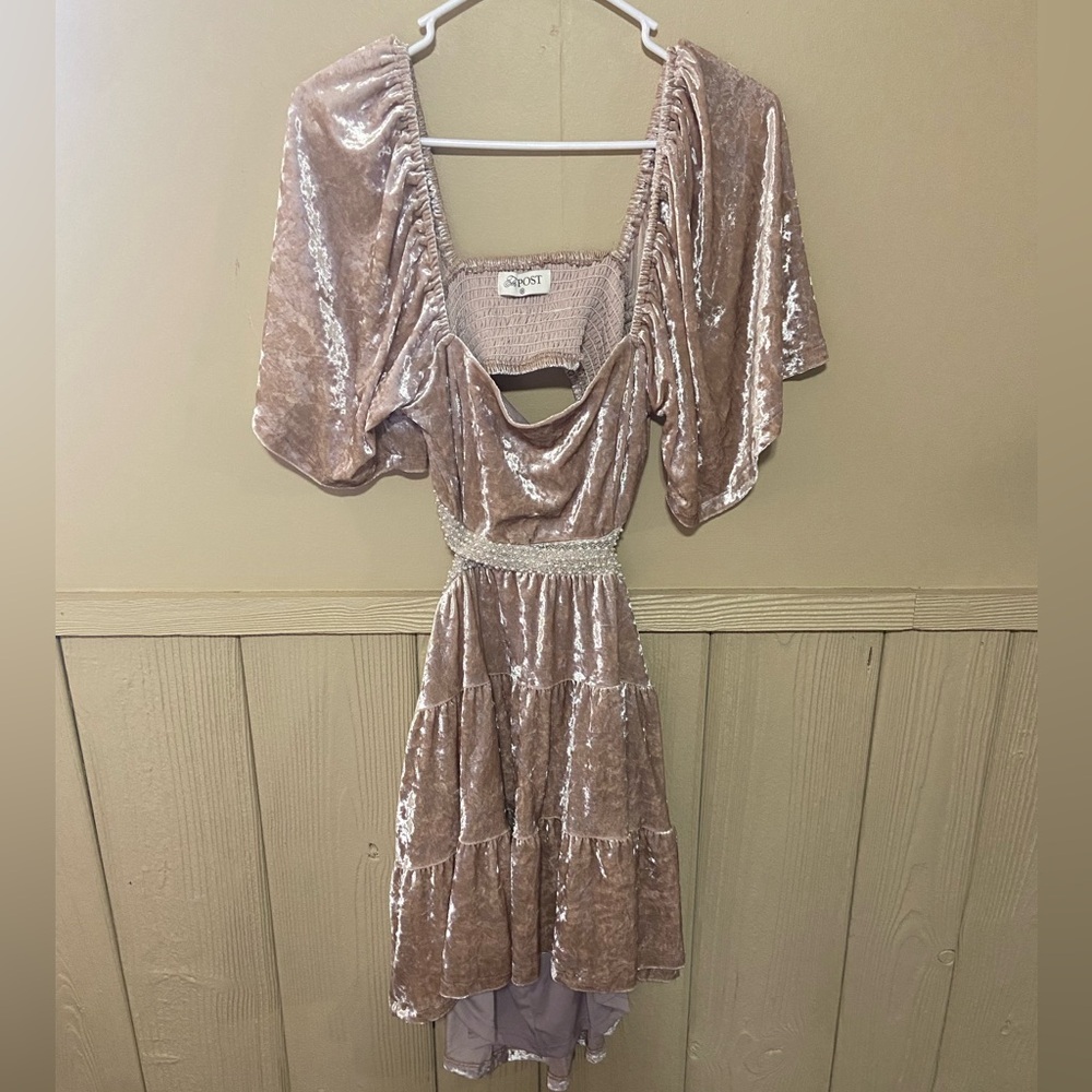 The Post Velvet Dress with Pearl Detail